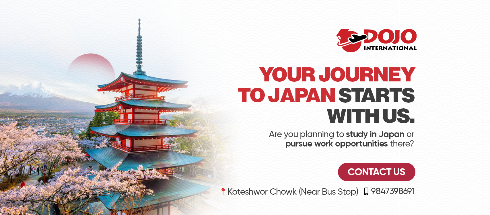 Dojo International — Your Journey to Japan Starts With Us